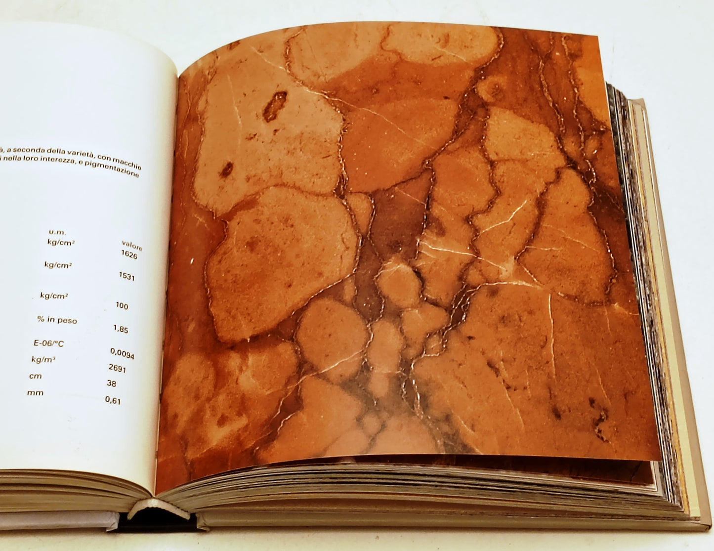 Marmi e pietre I migliori materiali di cava - Federico Motta - 1a ed. - YFS421