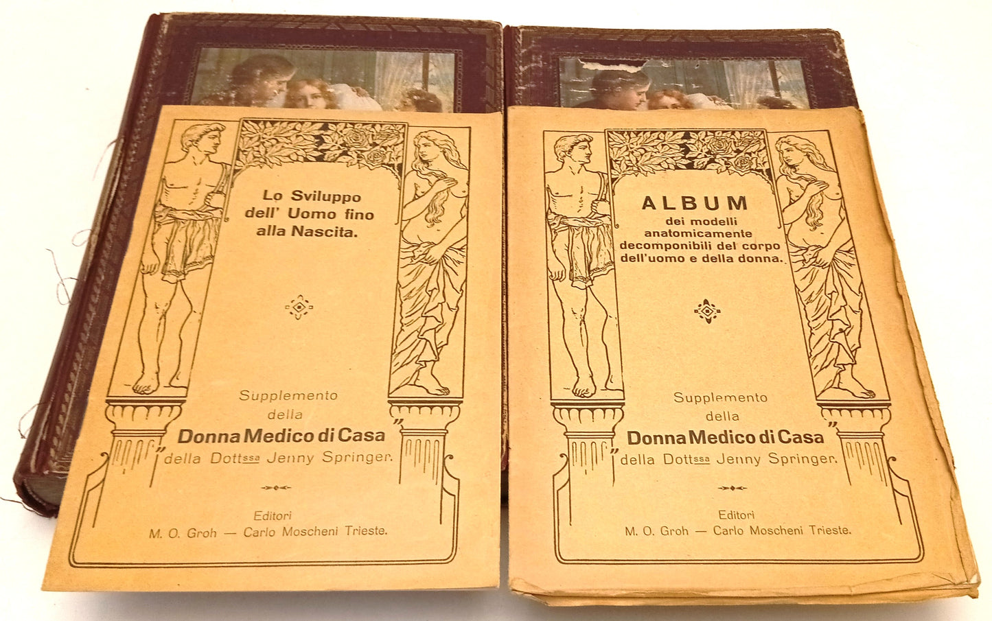 La medichessa in casa 2 volumi- Dr. Henry Springer- Carlo Moscheni- 1928- ZFS250