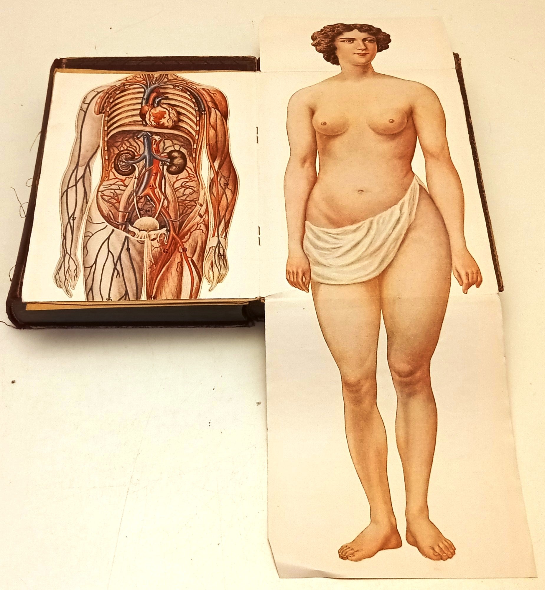 La medichessa in casa 2 volumi- Dr. Henry Springer- Carlo Moscheni- 1928- ZFS250