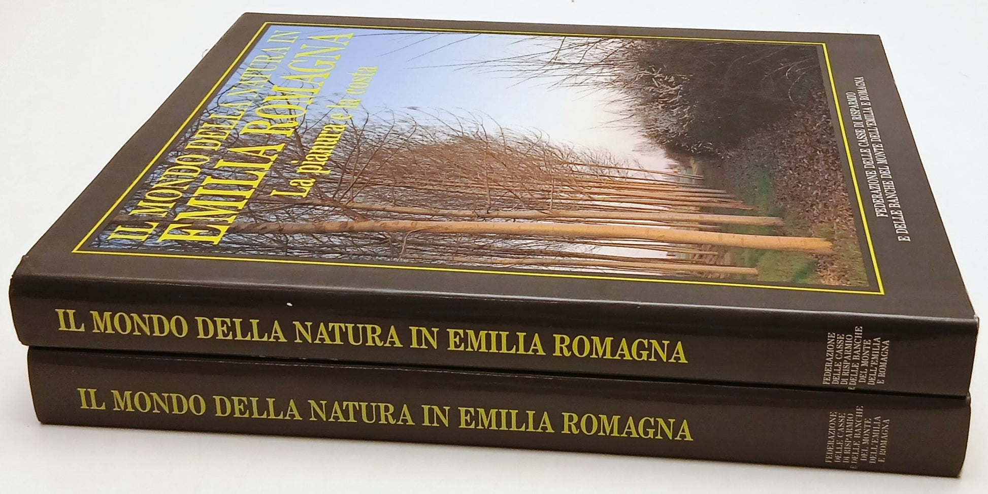 Il mondo della natura in Emilia Romagna 2 volumi Montagna Pianura Costa - YFS288