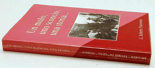 Ricordi storie di quel tempo Un mulo uno sconcio una storia - Prataviera- ZFS243