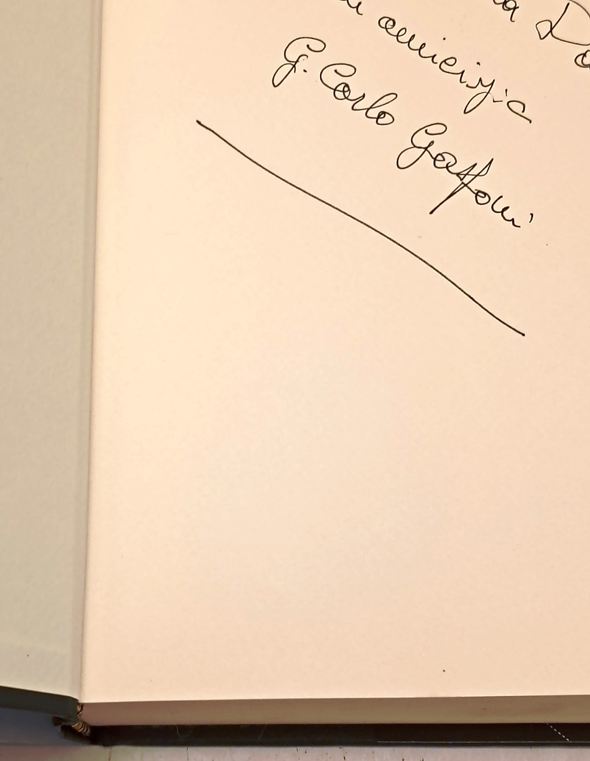 Nati d'inverno - Giancarlo Gasponi - Indaco - dedica e autografo - YFS180