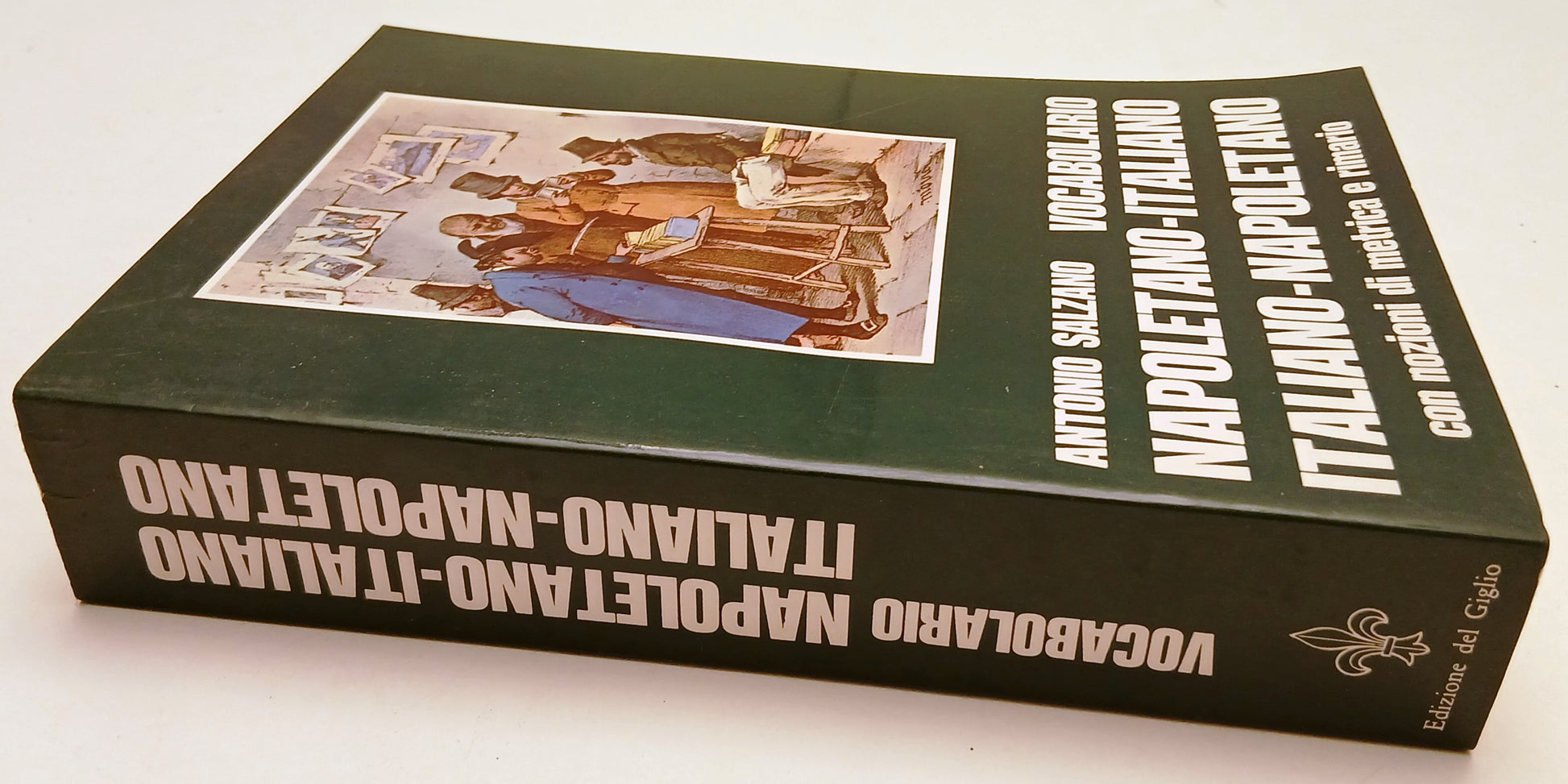 LZ- Vocabolario napoletano-italiano- Antonio Salzano- Del Giglio- 1980- B-ZFS123