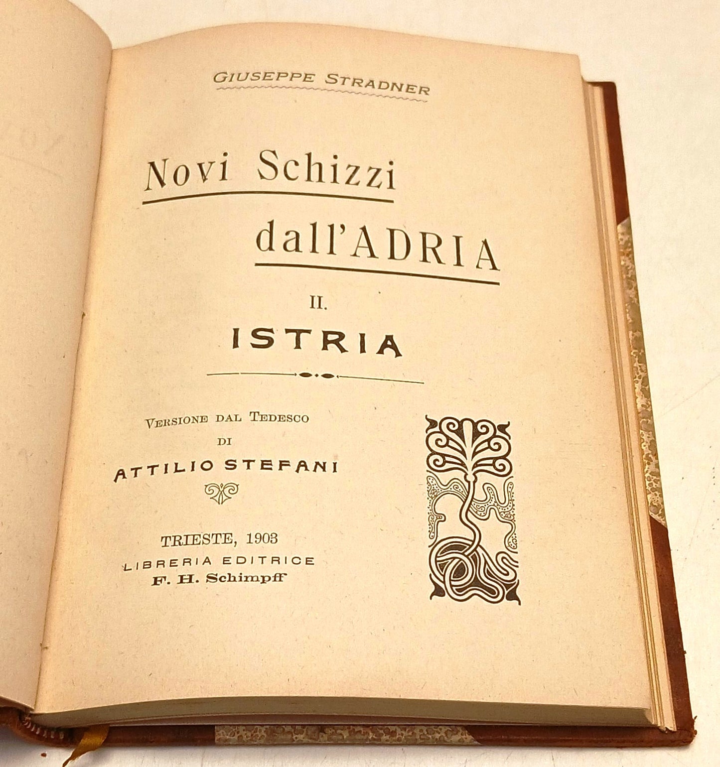 Novi Schizzi dall'Adria II Istria - F.H. Schimpff- Stradner- 1a ed. 1908- XFS111