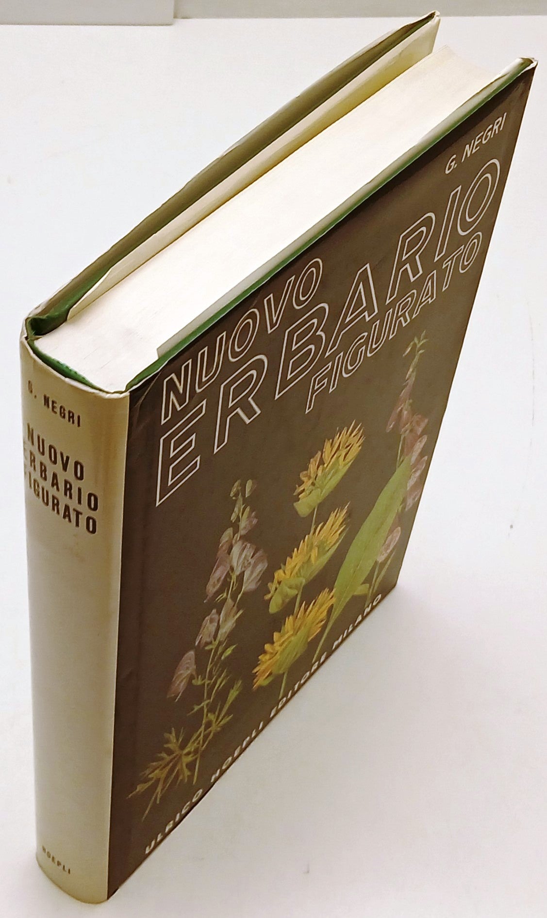 Nuovo erbario figurato - Negri - Hoepli - 2a 1991 - LXXX tavole a colori- YFS370