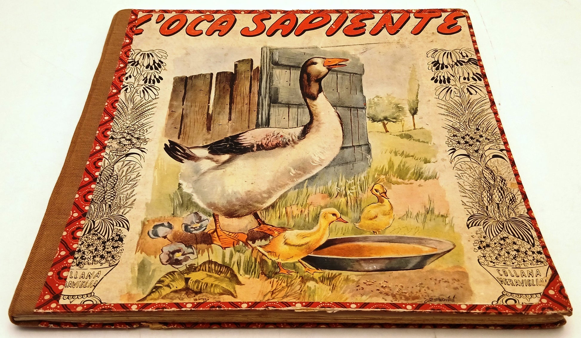 L'oca sapiente - Carroccio Collana Meraviglia - illustrato - XFS