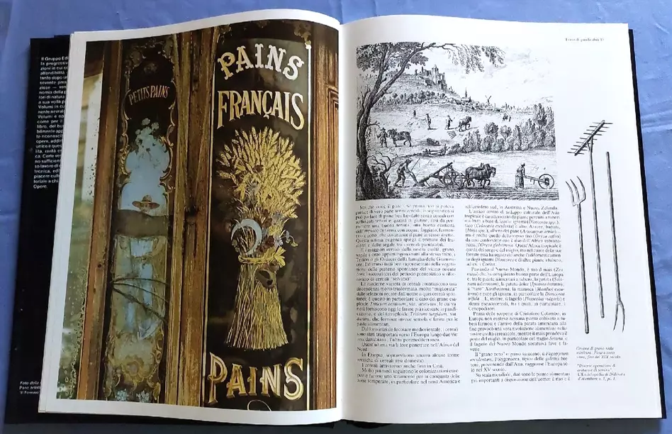 LZ- IL PANE - DUPAIGNE MARQUIS - STUDIO EDITORIALE --- 1987 - CS - YFS816