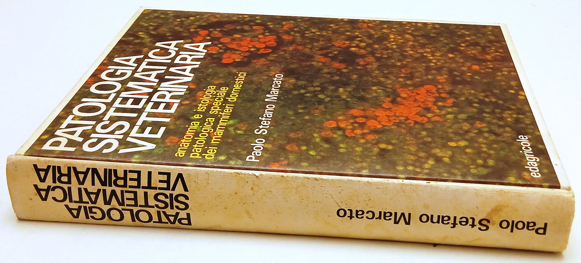 Patologia sistematica veterinaria Mammiferi- Marcato- Edagricole- 1a ed.- YFS129