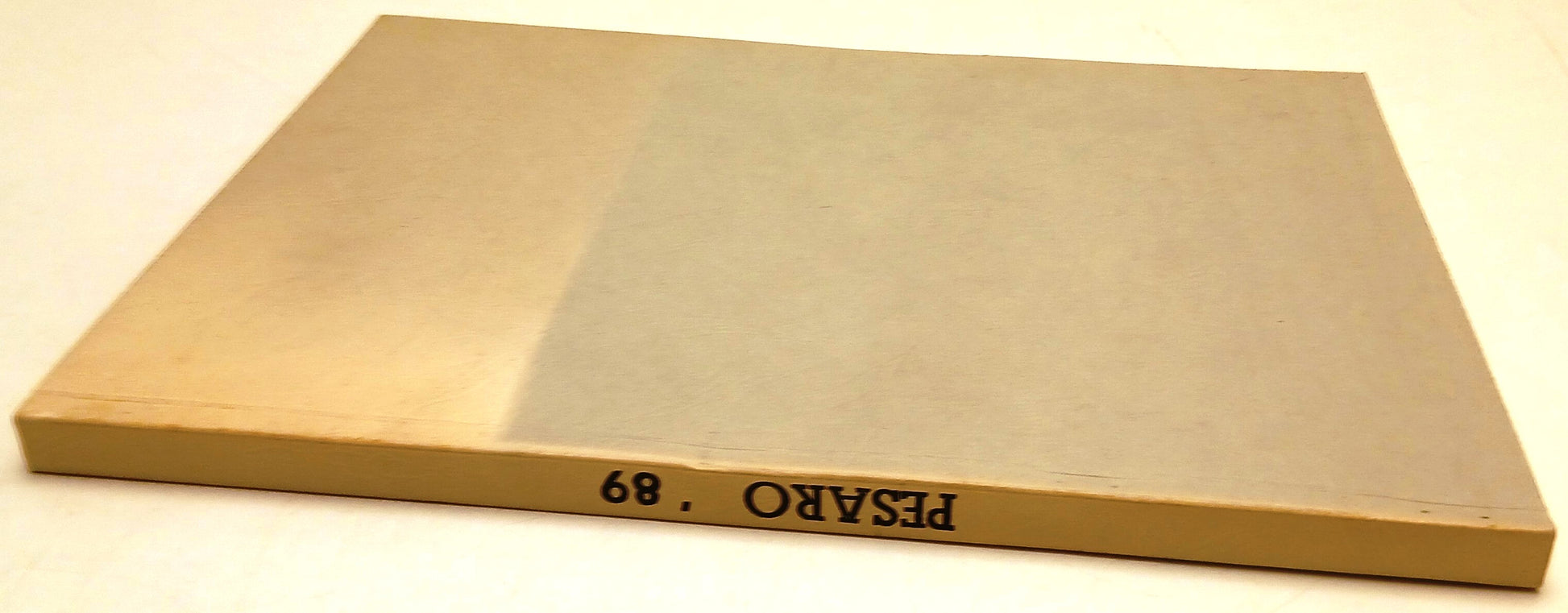 Rassegna Stampa Pesaro '89 - XXV Mostra Internazionale Nuovo del Cinema - YFS772