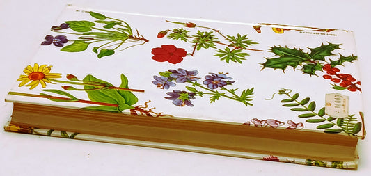 Piante e fiori di campagna e di bosco - Christiansen Brunerye - Paoline - ZFS195