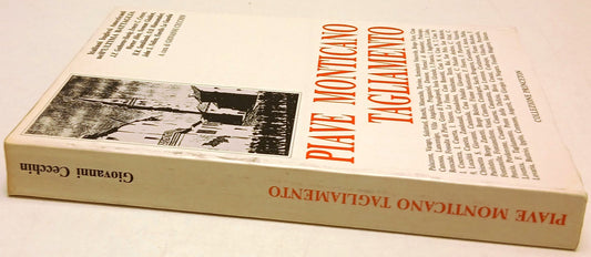 Piave Monticano Tagliamento - Cecchin - Collezione Princeton - 1a ed. - ZFS195