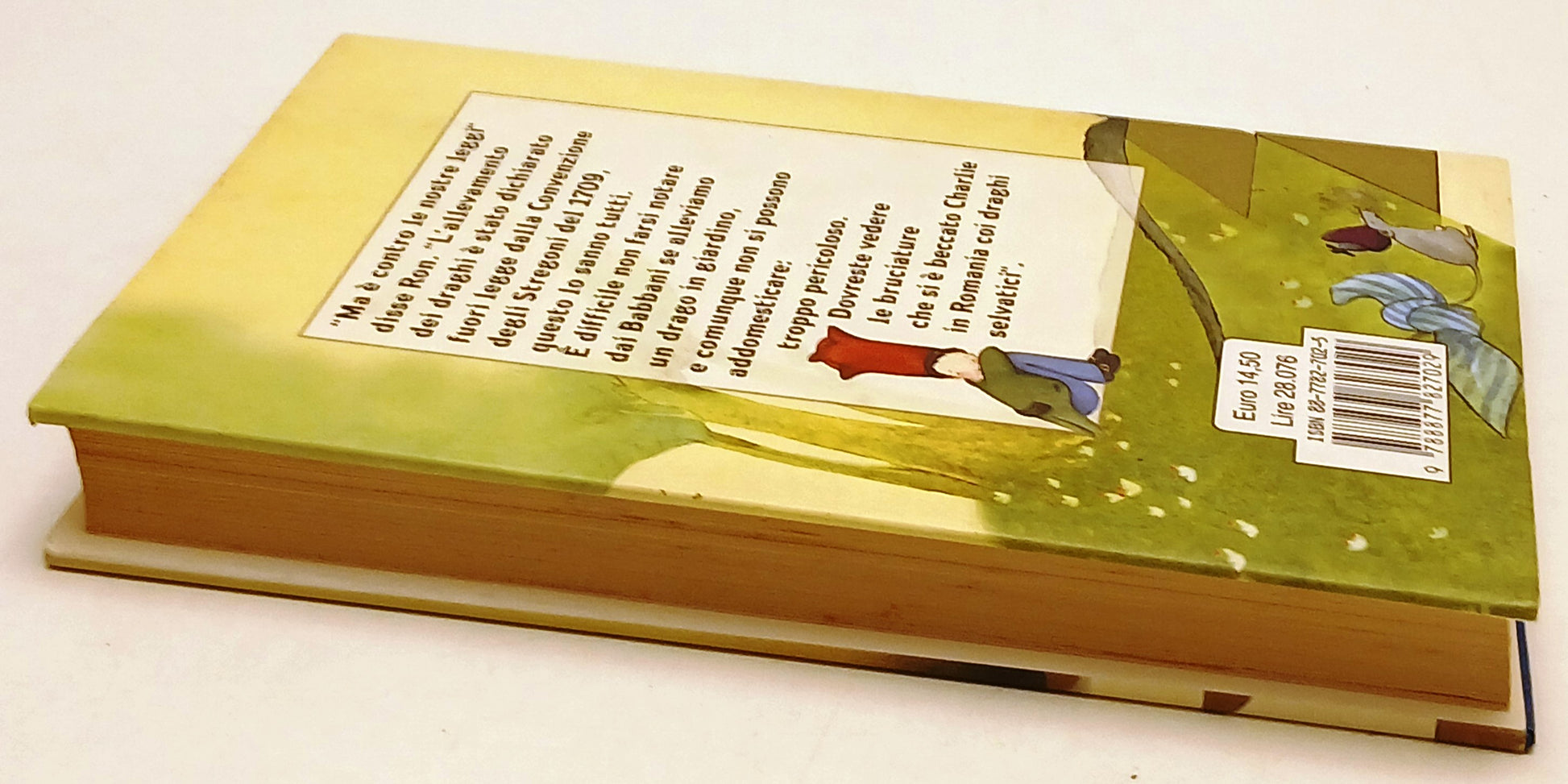 Harry Potter e la Pietra fisolofale - J. K. Rowling - Salani - ZFS78