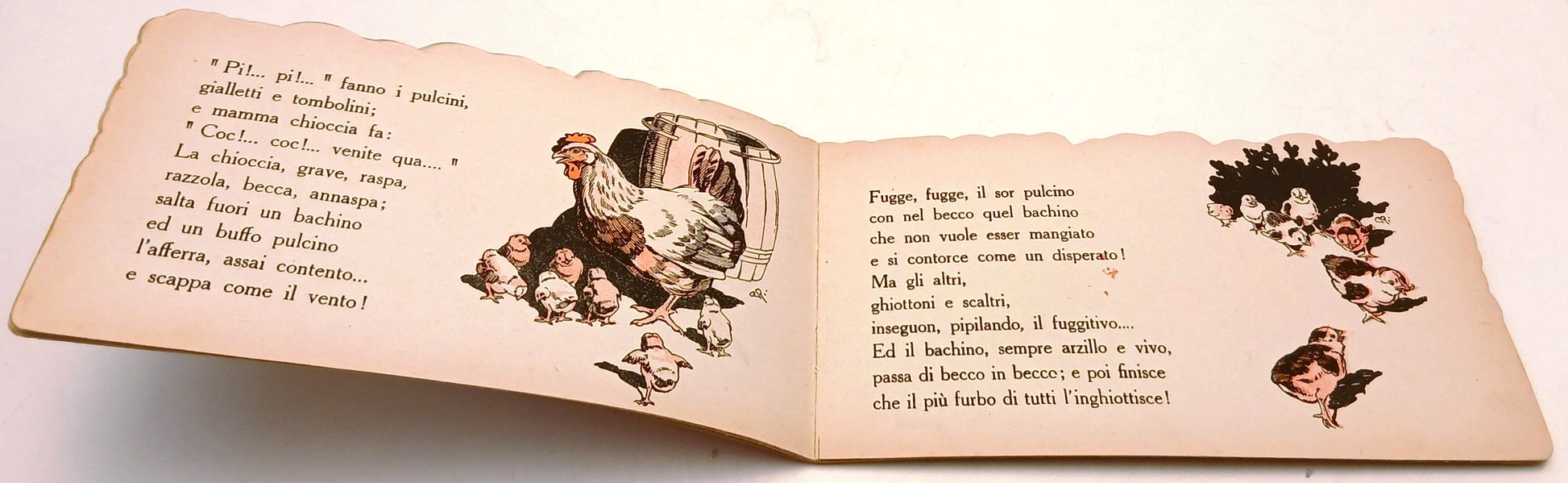 Animali Domestici Pollaio- Ambrosi Romanelli- Tirrenia- 1a ed.- sagomato-RVSa992