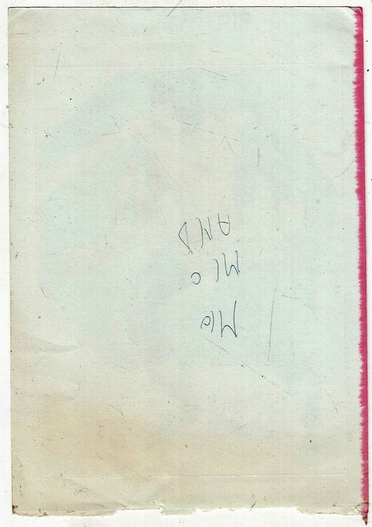 CV- ADESIVO CAPITAN AMERICA allegato al N.2 - CORNO - RVSz103