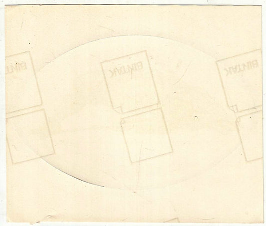 CV- ADESIVO IL FANTASTICO UOMO RAGNO - CAMPO DEL RE - RVSz105