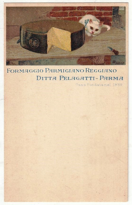 CV- CARTOLINA POSTALE - FORMAGGIO PARMIGIANO REGGIANO PELAGATTI PARMA - RVSz24