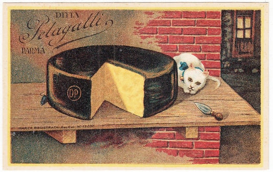 CV- CARTOLINA POSTALE - FORMAGGIO PARMIGIANO REGGIANO PELAGATTI PARMA - RVSz26