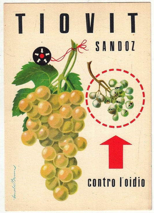 CV- CARTOLINA PUBBLCITARIA - TIOVIT SANDOZ CONTRO L'OIDIO - RVSz27