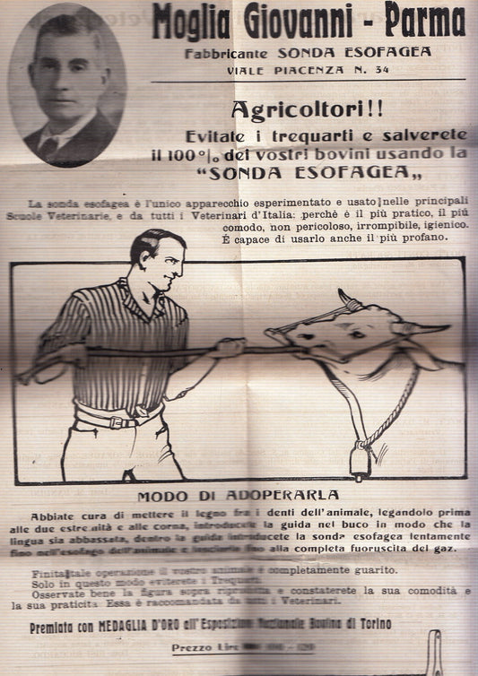 CV- MANIFESTO - MOGLIA GIOVANNI PARMA - FABBRICANTE SONDA ESOFAGEA - RVSz91