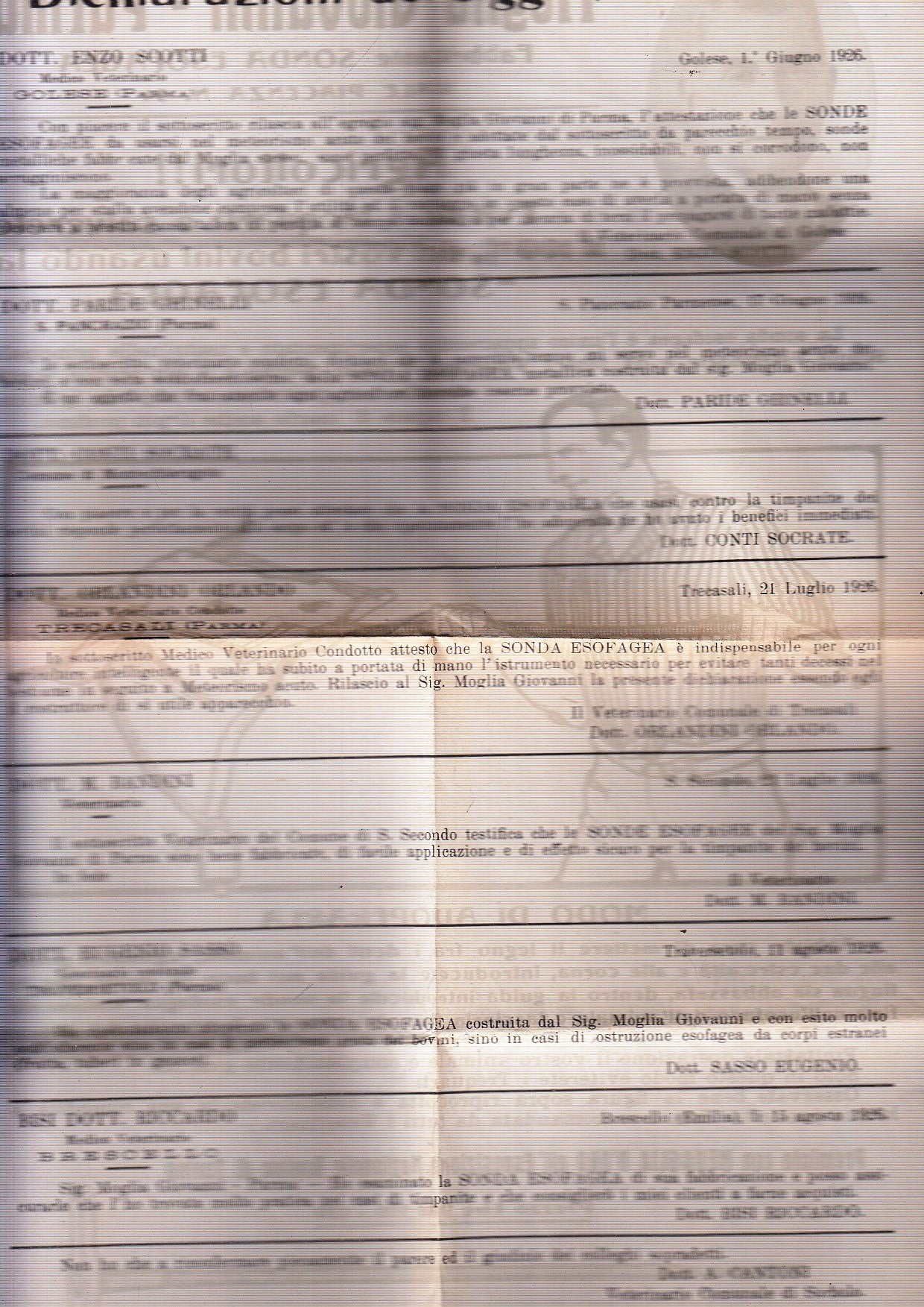 CV- MANIFESTO - MOGLIA GIOVANNI PARMA - FABBRICANTE SONDA ESOFAGEA - RVSz91