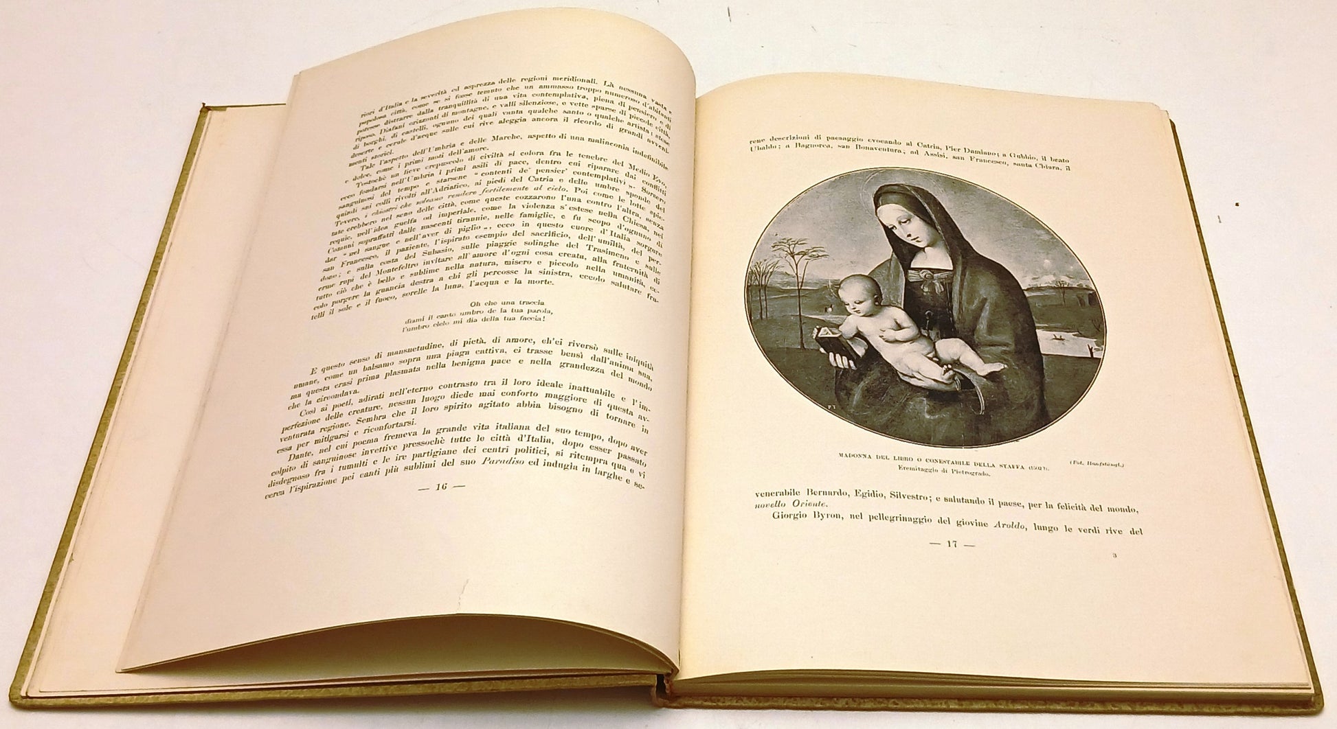 Raffaello - Corrado Ricci - Fratelli Treves - 1920 - con illustrazioni - YFS531