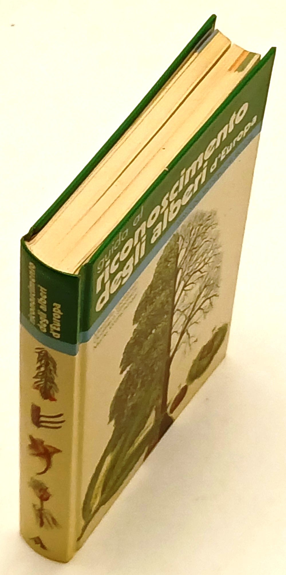 Guida al riconoscimento degli alberi d'Europa - Mondadori Manuali - ZFS194