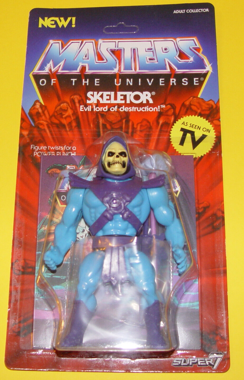 GG- MASTERS OF THE UNIVERSE - SKELETOR - EVIL LORD OF DESTRUCTION - SUPER7 - M23