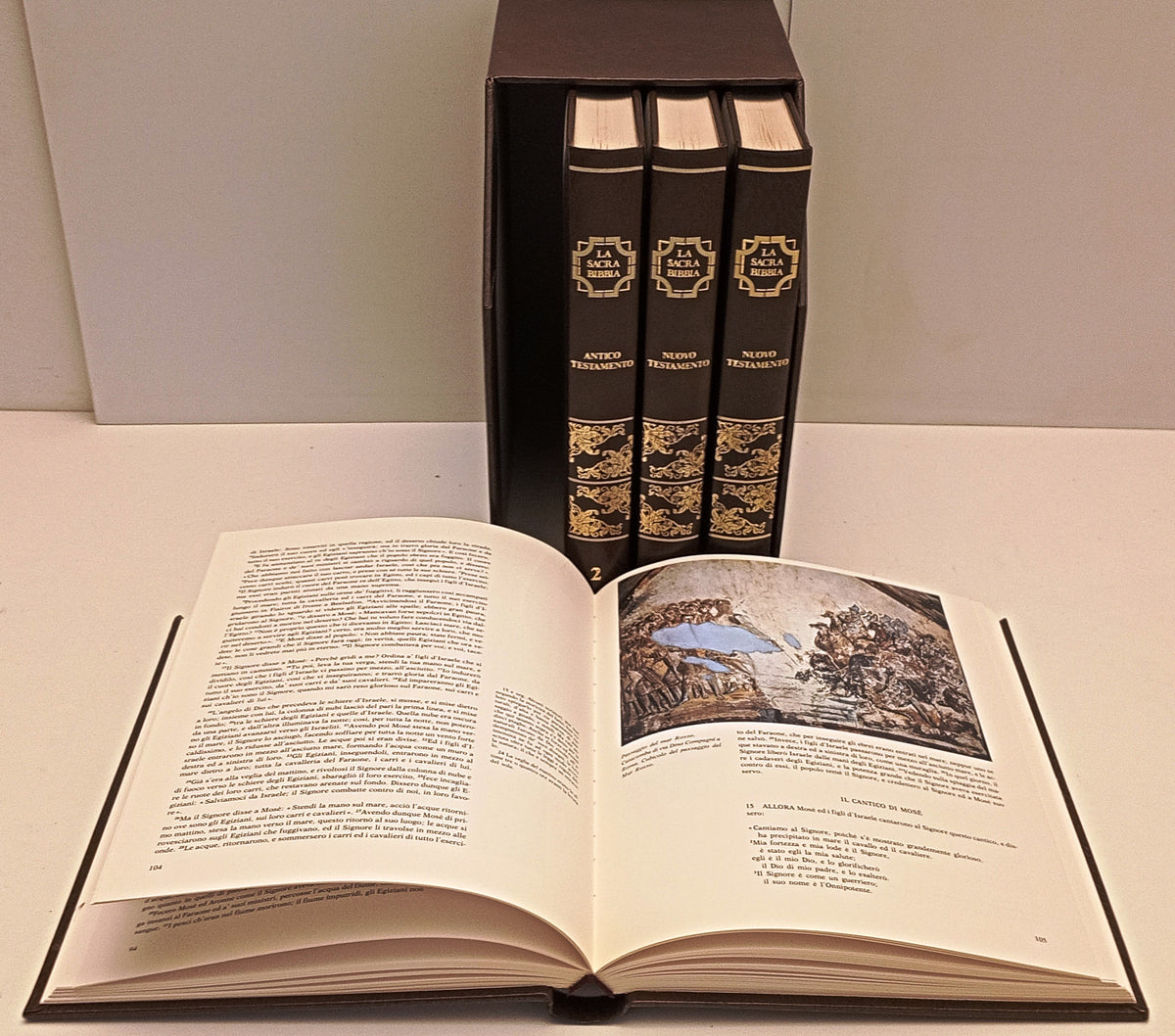 La Sacra Bibbia 4 volumi Antico e Nuovo Testamento - Velar - cofanetto - ZFS319