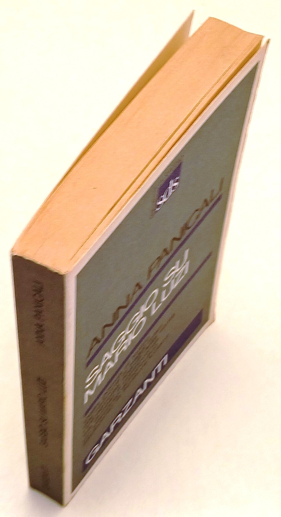 Saggio su Mario Luzi - Anna Panicali - Garzanti Strumenti Studio - 1a ed.- XFS37