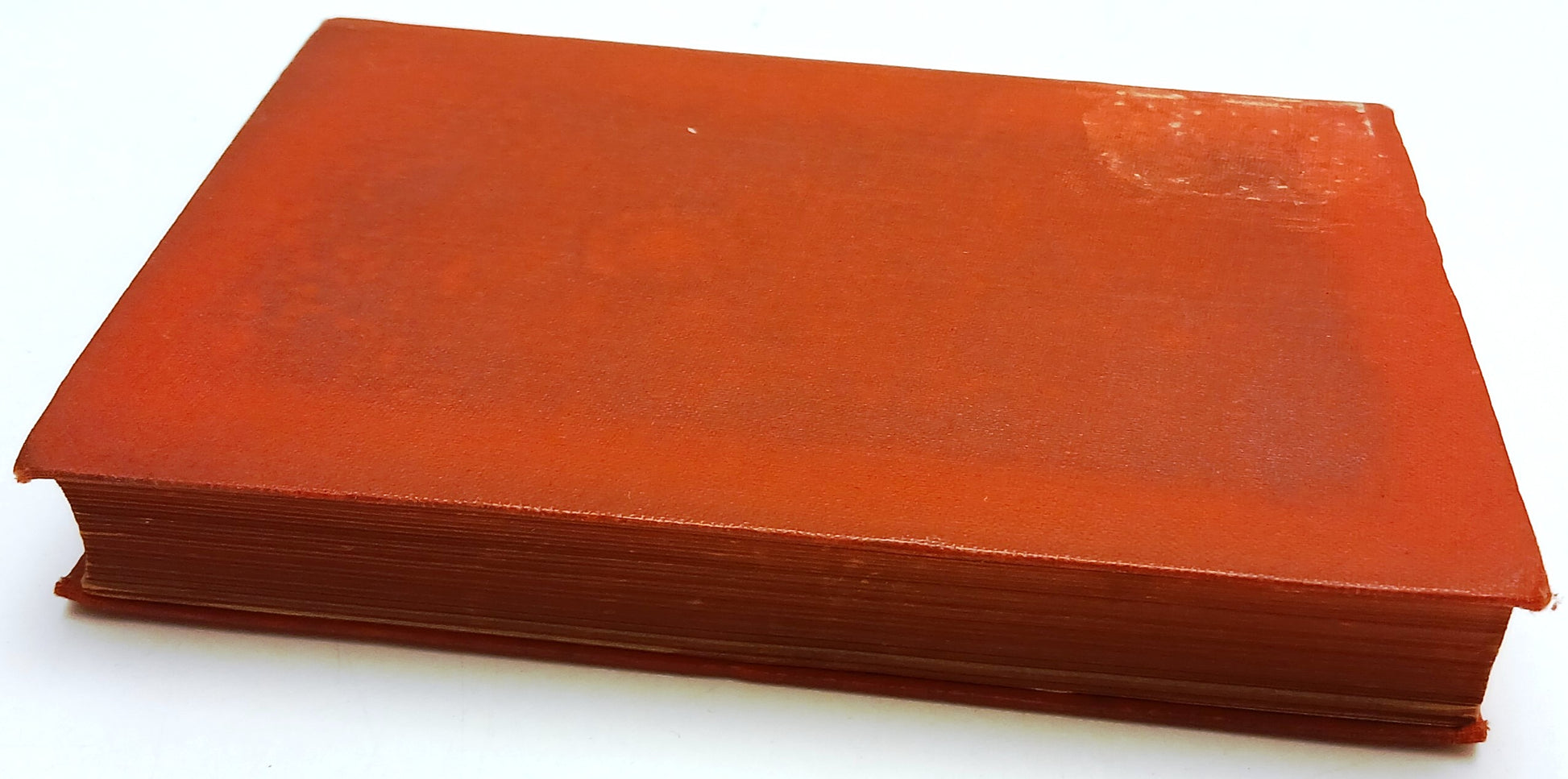 Avviamento allo studio del Sanscrito - Dott. F. G. Fumi - Hoepli Manuali