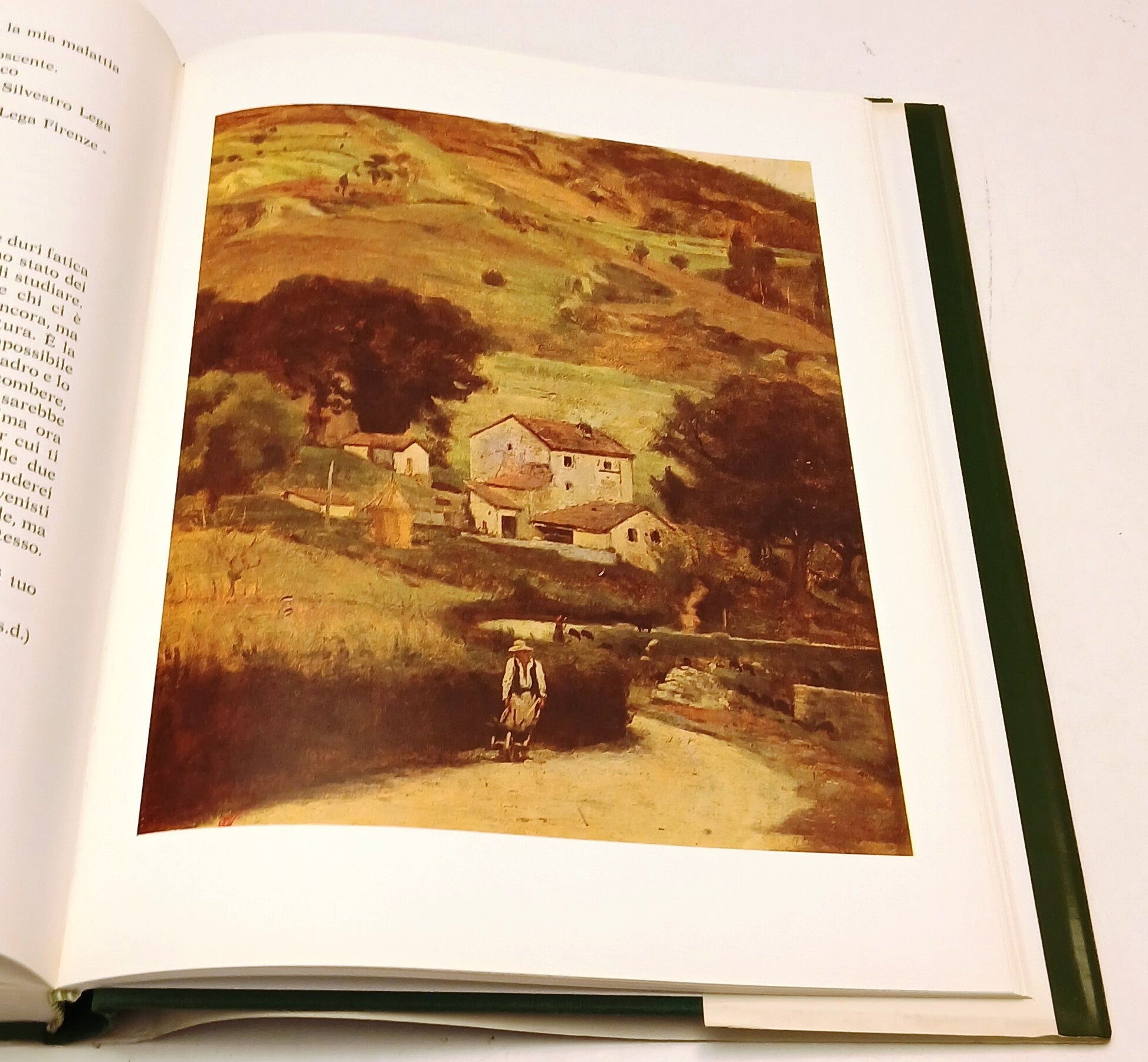 Silvestro Lega - Il Fiorino Minuti Menarini Collezione d'Arte La Specola- YFS870