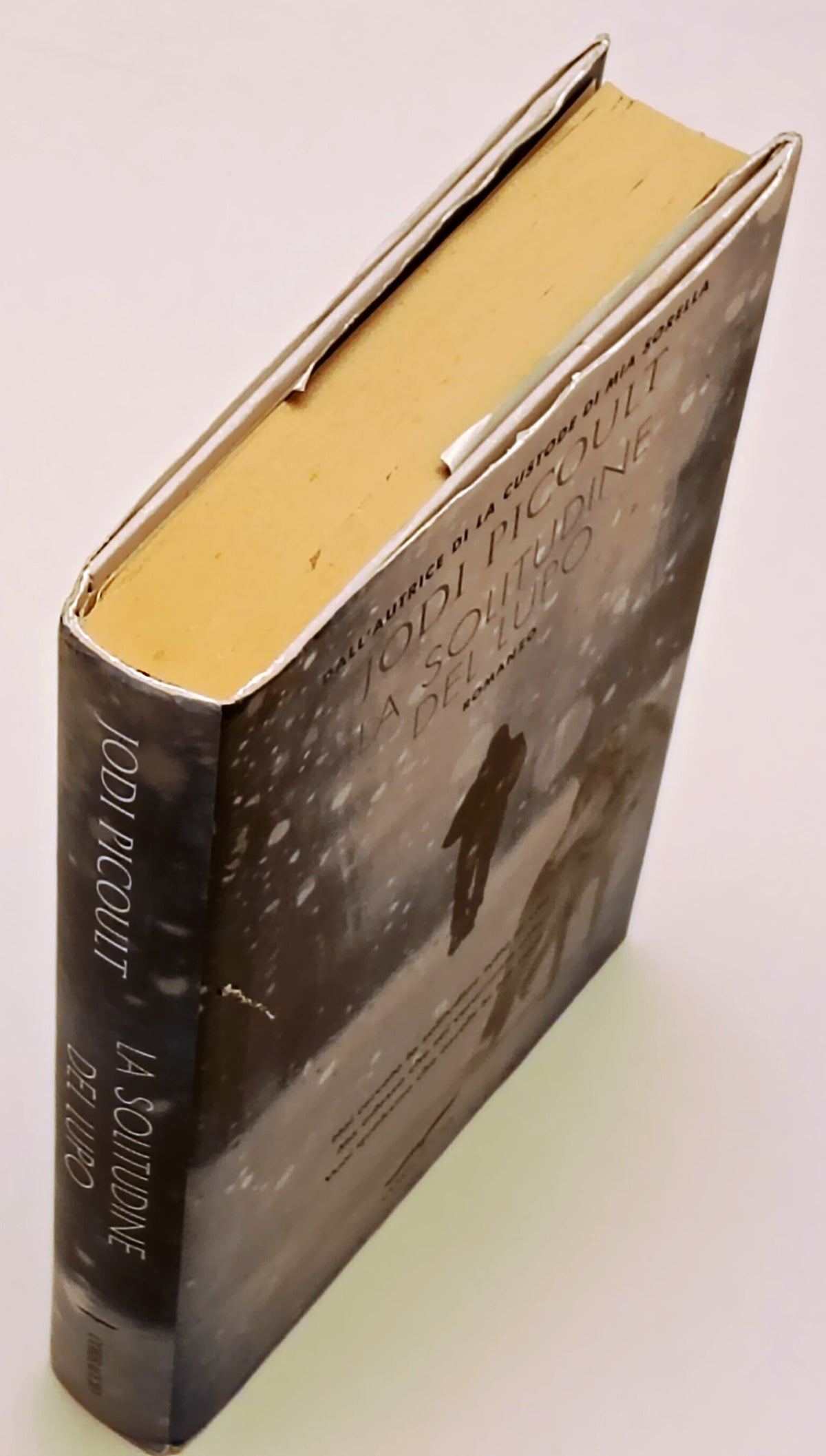 La solitudine del lupo - Jodi Picoult - Corbaccio Narratori - 1a ed. - ZFS289