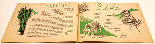 Stelline - Calabresi Zucchi - Pia Societa' Figlie di San Paolo - 1948 - RVSa996