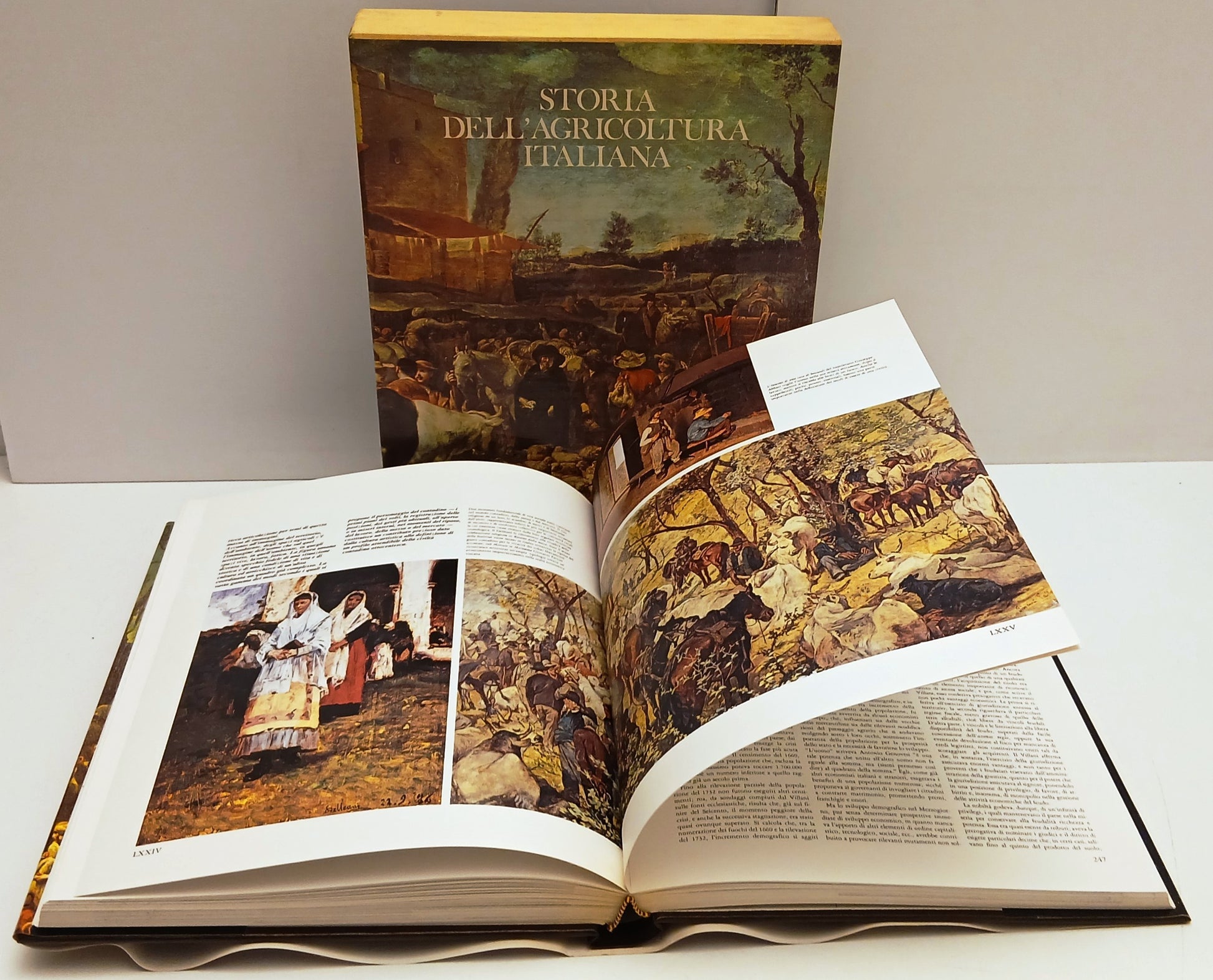 Storia dell'agricoltura italiana - Etas libri - 1976 - cofanetto - YFS234