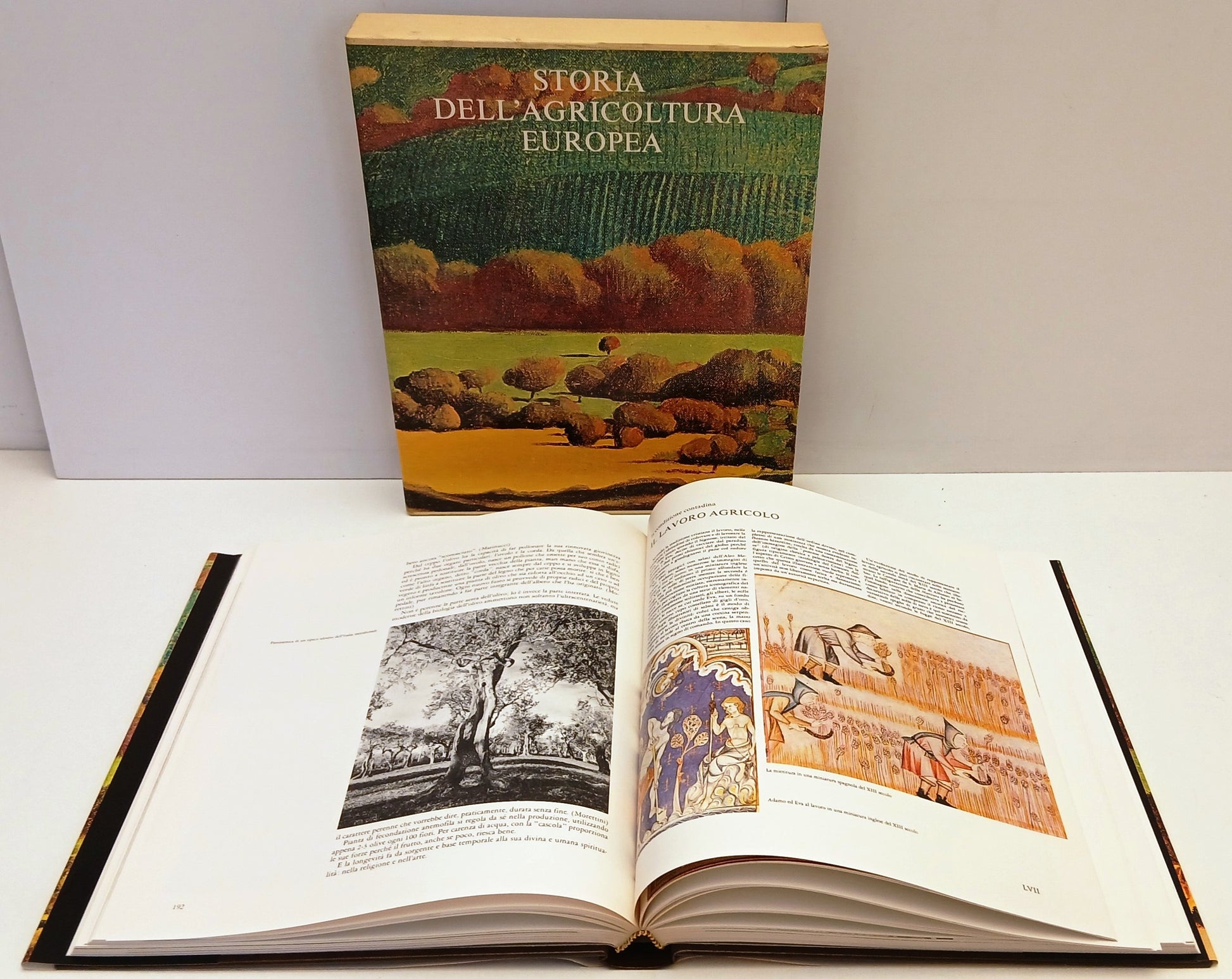 Storia dell'agricoltura europea - Etas Banca Nazionale dell'Agricoltura - YFS830