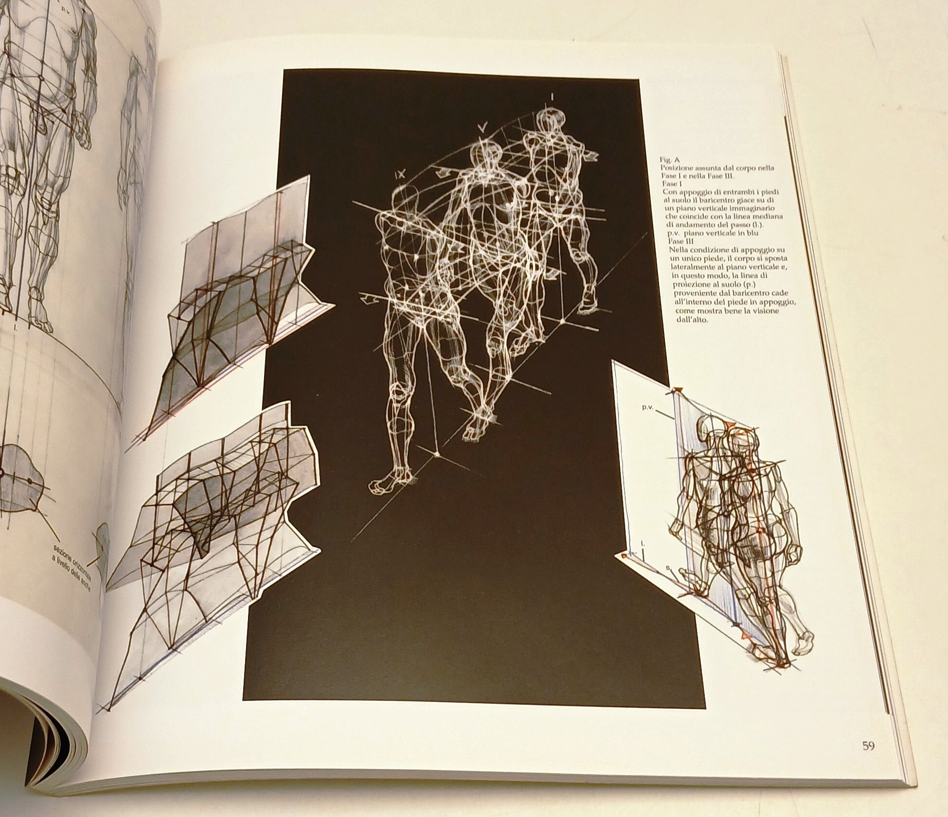 Struttura Uomo Manuale di anatomia artistica volumi 1/2 - Neri Pozza - YFS111