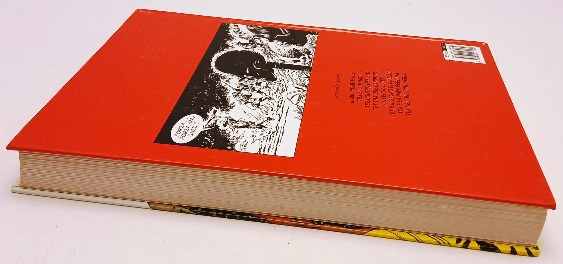 FB- TEX NELL'INFERNO VERDE CARTONATO -- MONDADORI - 1a ED. 2000 - C - N25