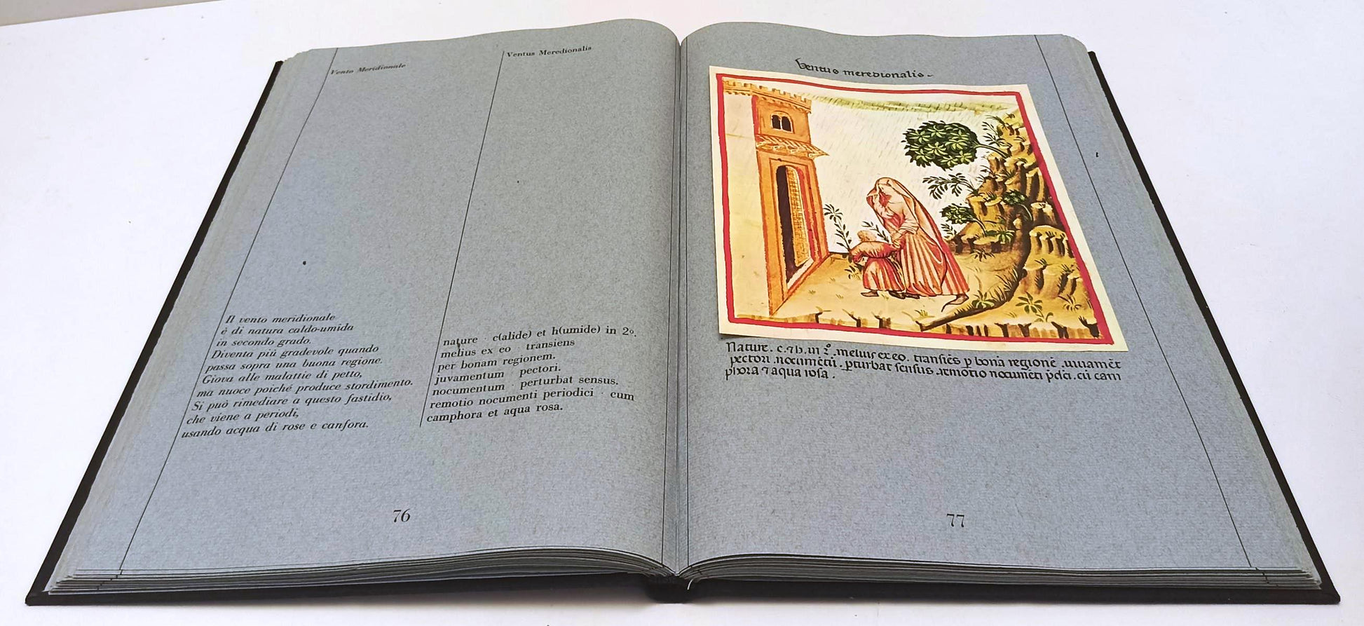 LT- THEATRUM SANITATIS LIBER MAGISTRI VOLUME II - FRANCO MARIA RICCI FMR - XFS