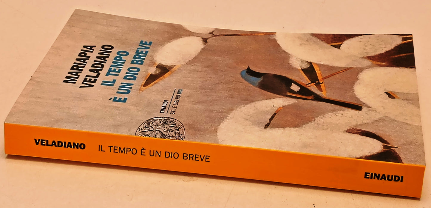 Il tempo e' un Dio breve - Mariapia Veladiano - Einaudi SL Big - 1a ed. - XFS