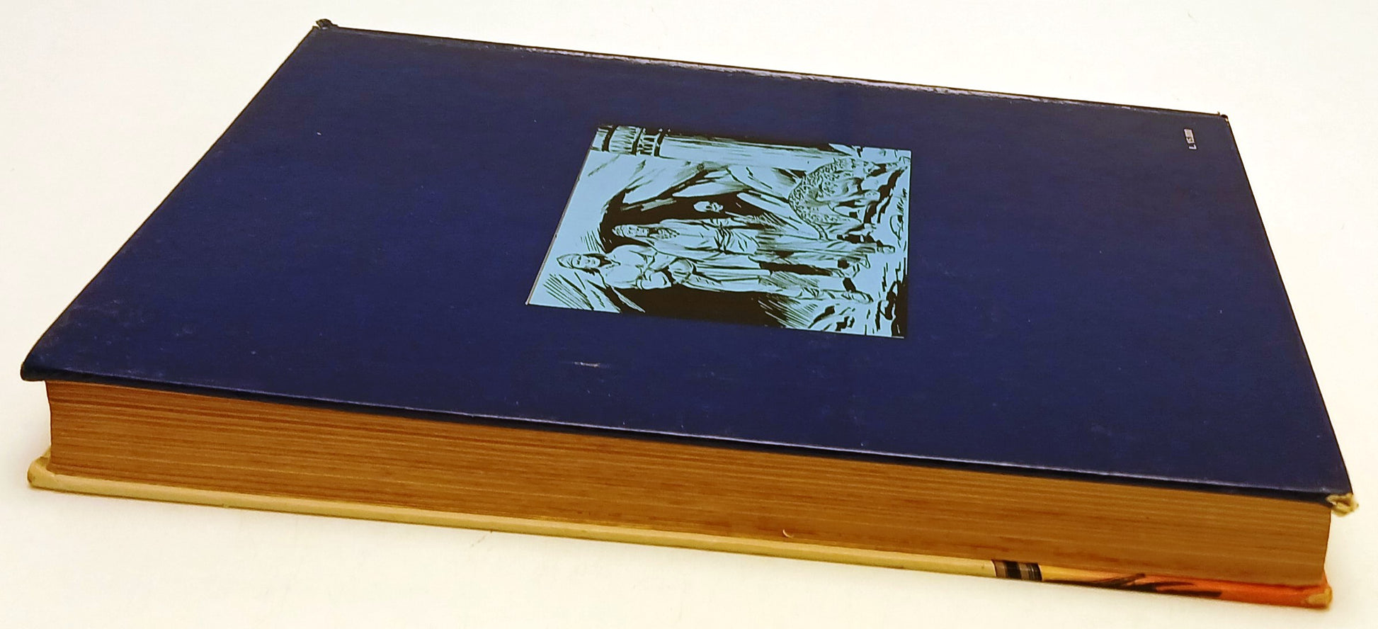 Tex e gli indiani - Galleppini - Cepim - 1a ed. - cartonato - V26