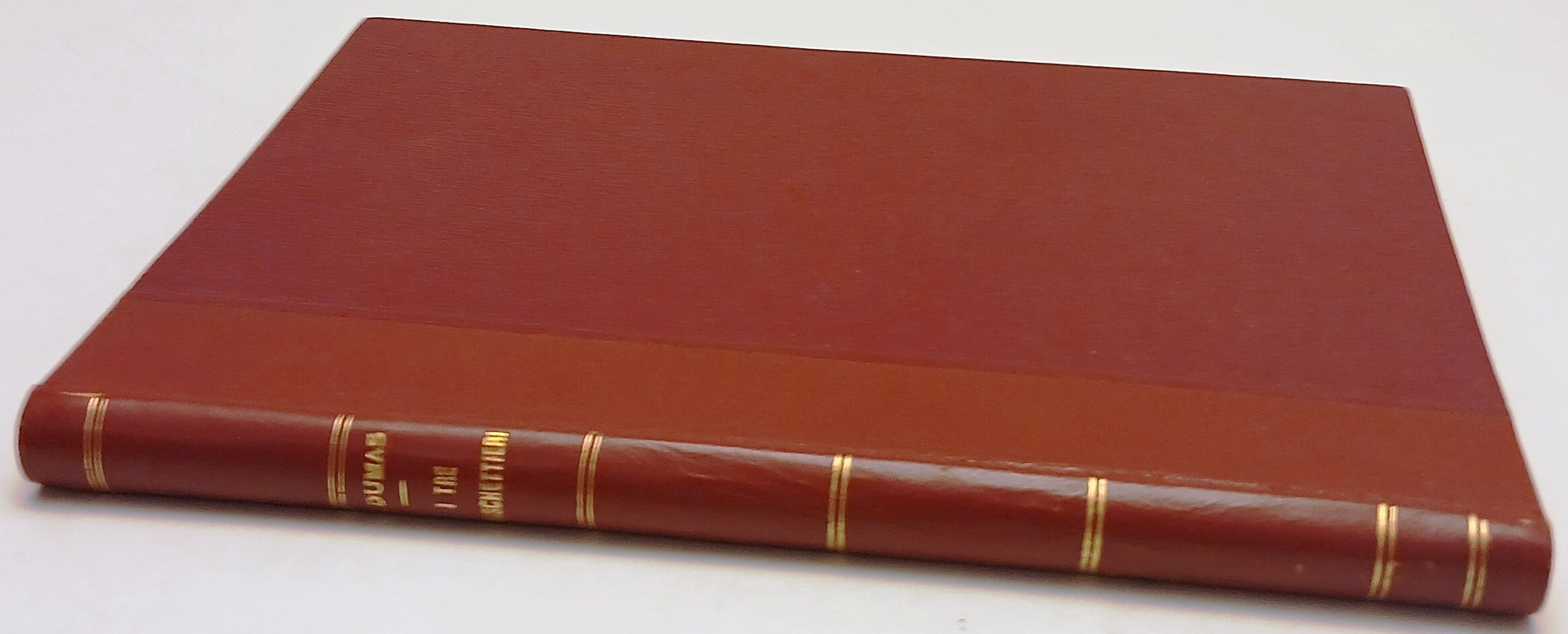 I tre Moschettieri - Alessandro Dumas - Sonzogno - 1880 - YFS540