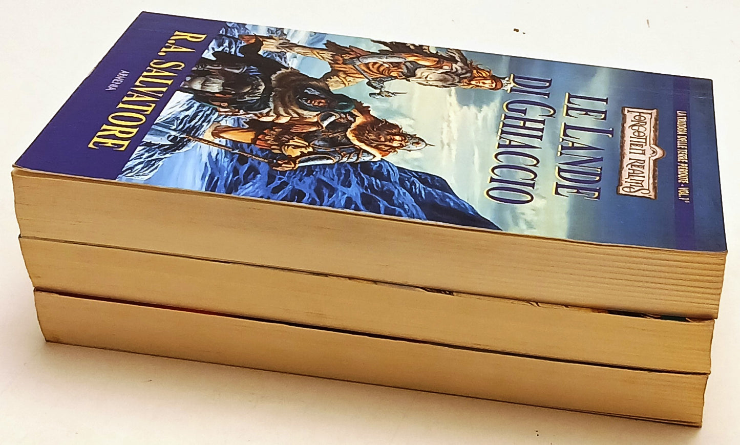 Trilogia delle Terre Perdute 3 volumi Le lande - R.A. Salvatore- Armenia - XFS