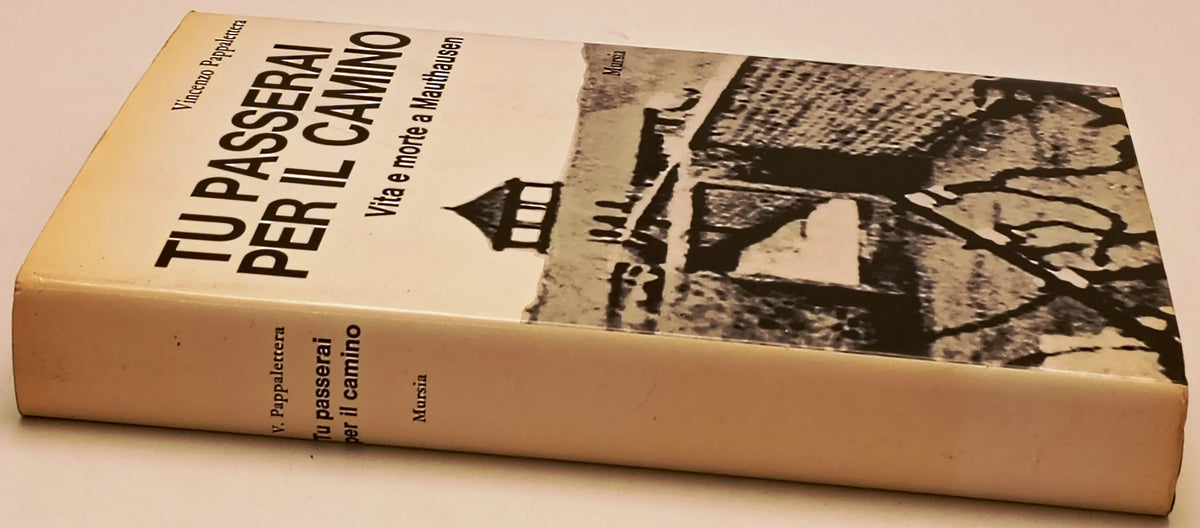 Tu passerai per il camino Mauthausen - Vincenzo Pappalettera - Mursia - ZFS306