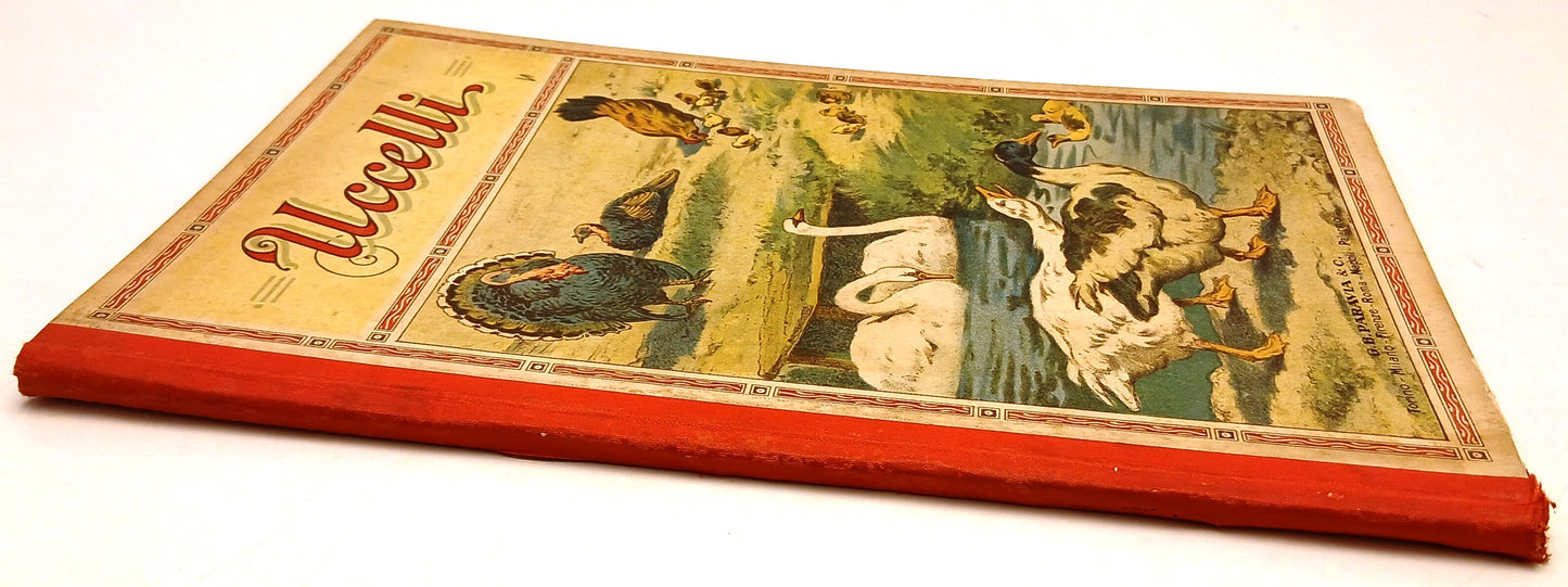 Uccelli Gallo Gallina Anitra Oca Cigno - Paravia - acquarelli di Vaccari- XFS214