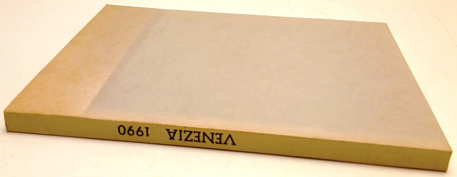 Rassegna Stampa Venezia 1990 Mostra Cinema - La biennale di Venezia - YFS763