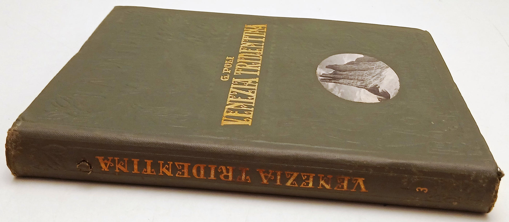 Venezia Tridentina - Poli - UTET La Patria Geografia d'Italia - 1927 - YFS311