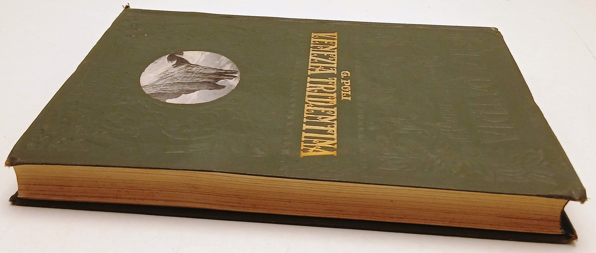 Venezia Tridentina - Poli - UTET La Patria Geografia d'Italia - 1927 - YFS311