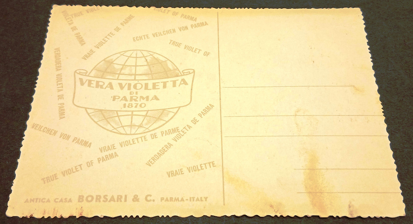 CC- Cartolina - Vera Violetta di Parma 1870 - Antica Casa Borsari - RVSz194