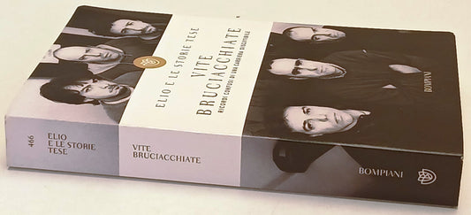 Vite Bruciacchiate - Elio e Le storie tese - Bompiani - 1a ed. - ZFS160