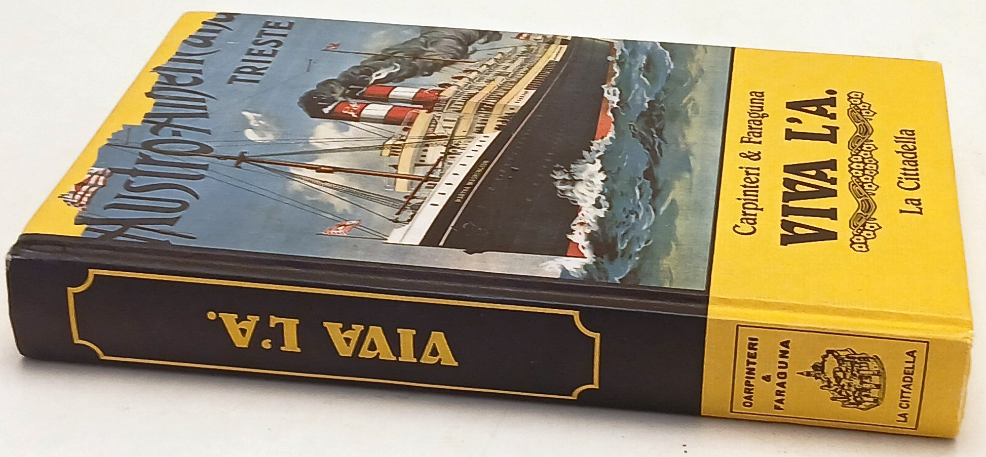 Viva l'A. Nuove Maldobrie - Carpinteri Faraguna - La Cittadella - 1a ed.- ZFS257